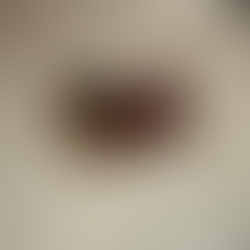 Beautiful atmosphere and cuisinefrom Chef's Table at Brooklyn Fare in New York. Two Michelin-star restaurant with elegant dining and beautiful atmosphere. Jabri Family Photograph.