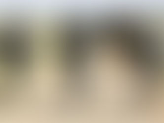 950 GA/MI Military Ballots and All Went for Joe Biden