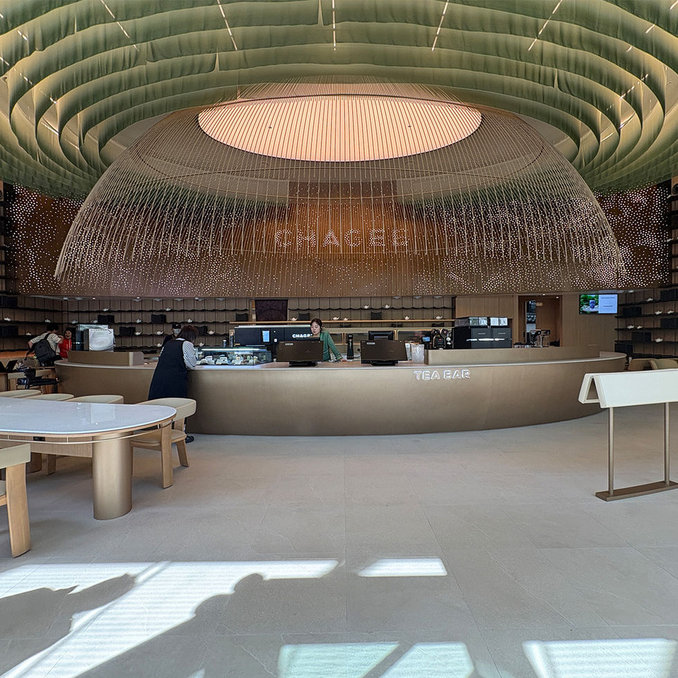 main bar & backdrop