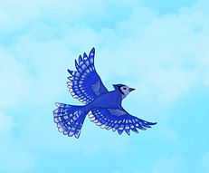 Mr Bluebird_edited.jpg
