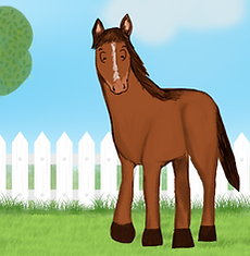 diego background sm.png