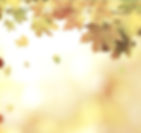 images (1)_edited_edited_edited_edited.jpg