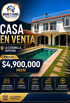 para paginza web.png