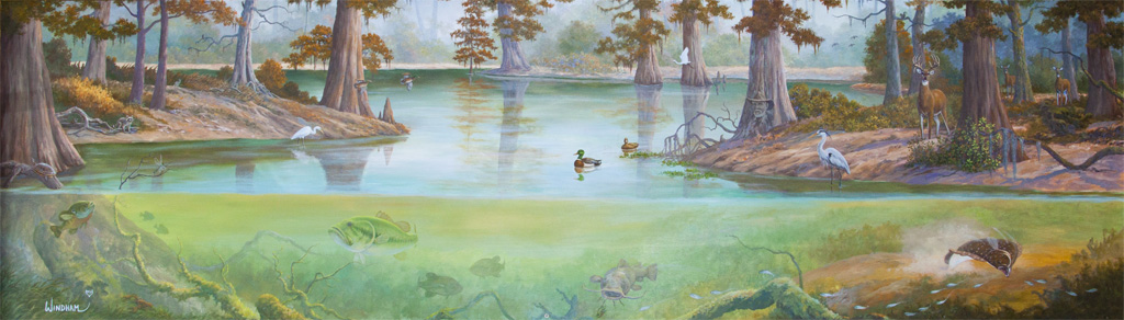 Brackish Water Wonders
