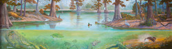 Brackish Water Wonders