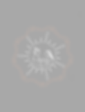 IMG-2482.PNG