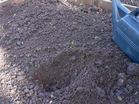 Our Secrets Revealed...