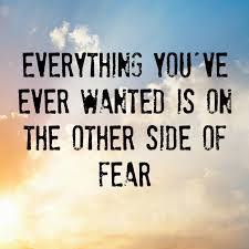 Everything you've ever wanted is on the other side of fear