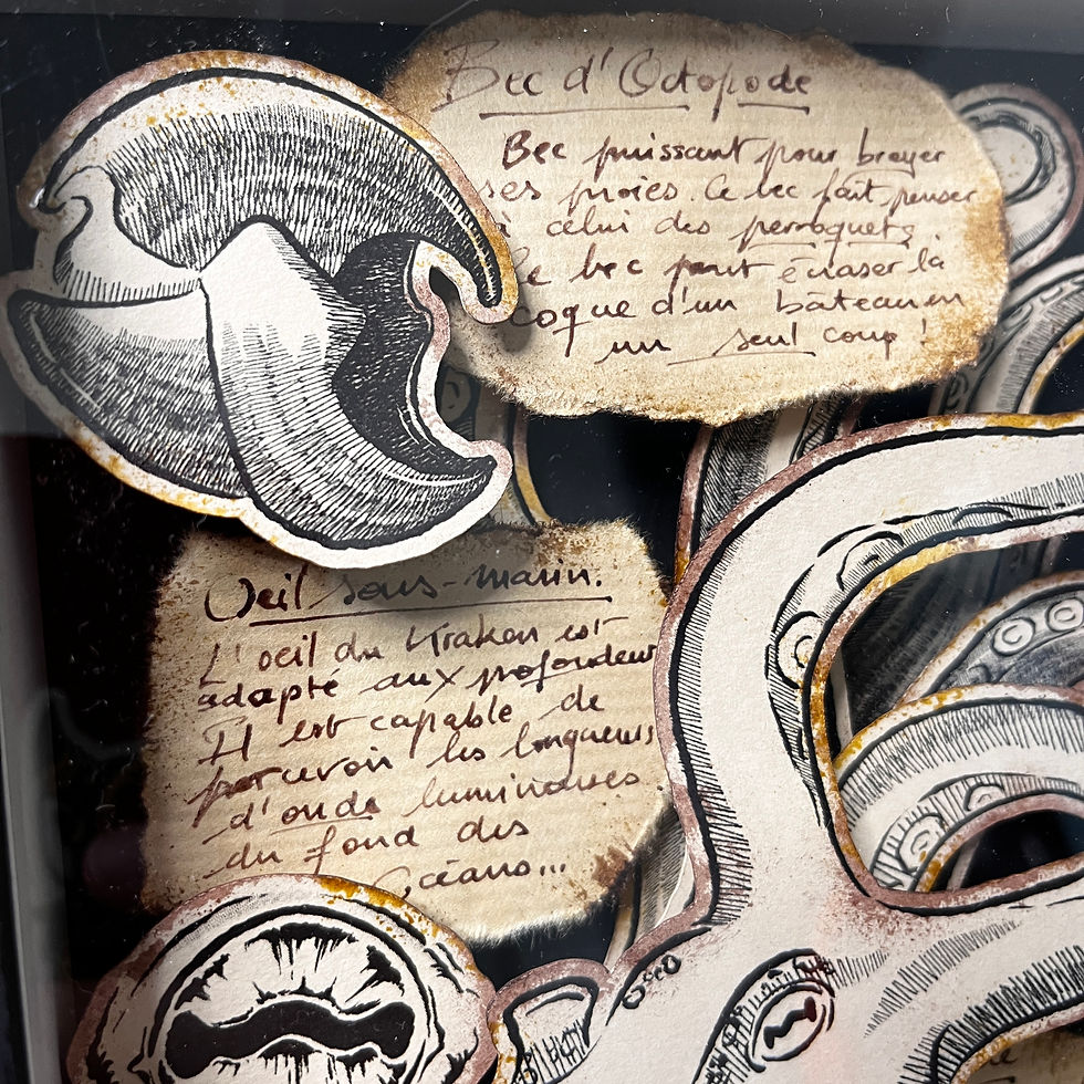 Miniature : Cabinet de curiosité - Étude du Kraken