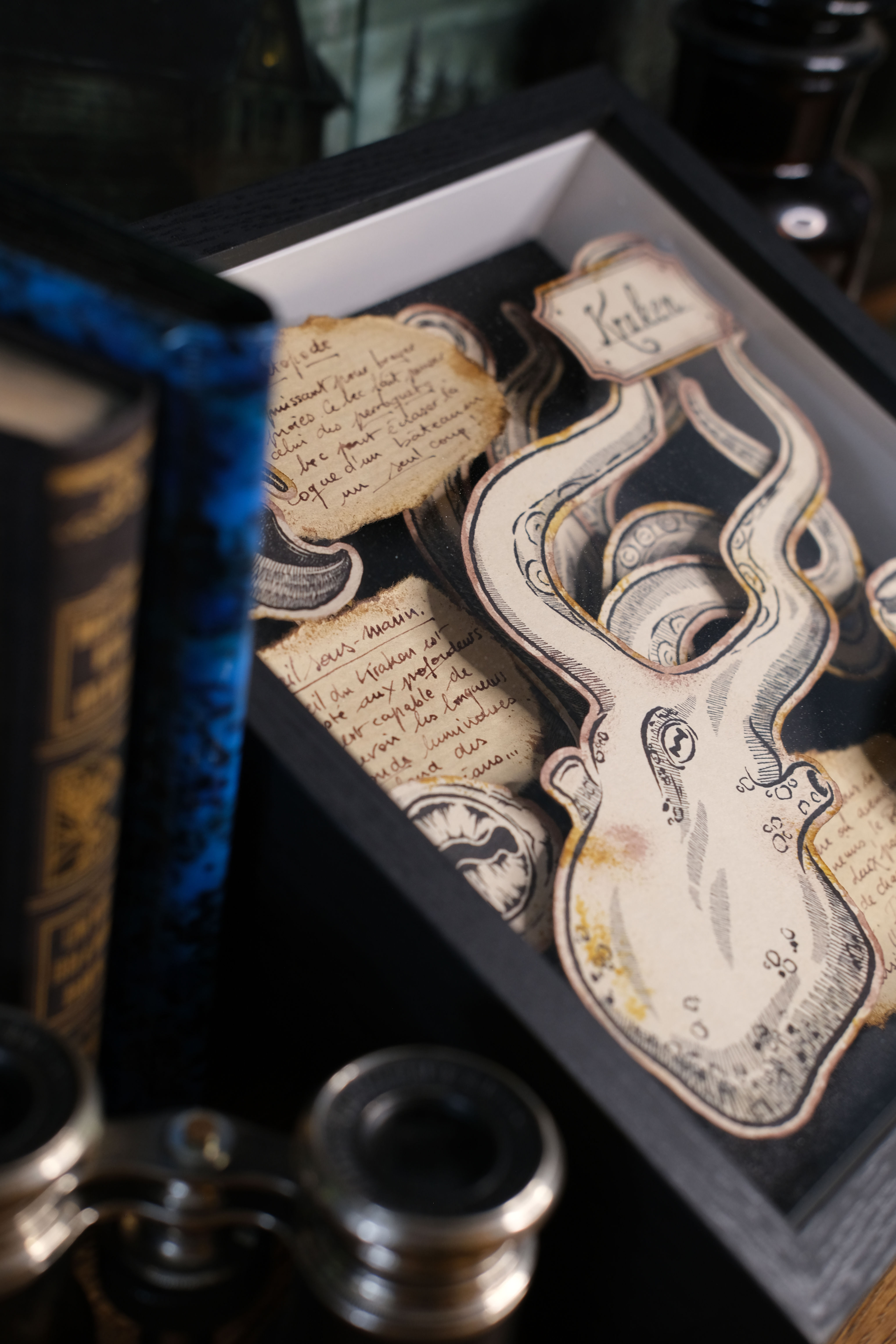 Cabinet de curiosité - Étude du Kraken