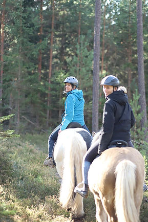 WhatsApp Image 2025-11-20 at 12.06.37 (1).jpeg