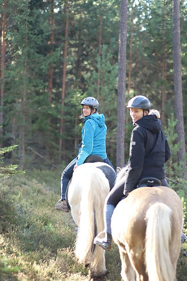 WhatsApp Image 2025-11-20 at 12.06.37 (1).jpeg