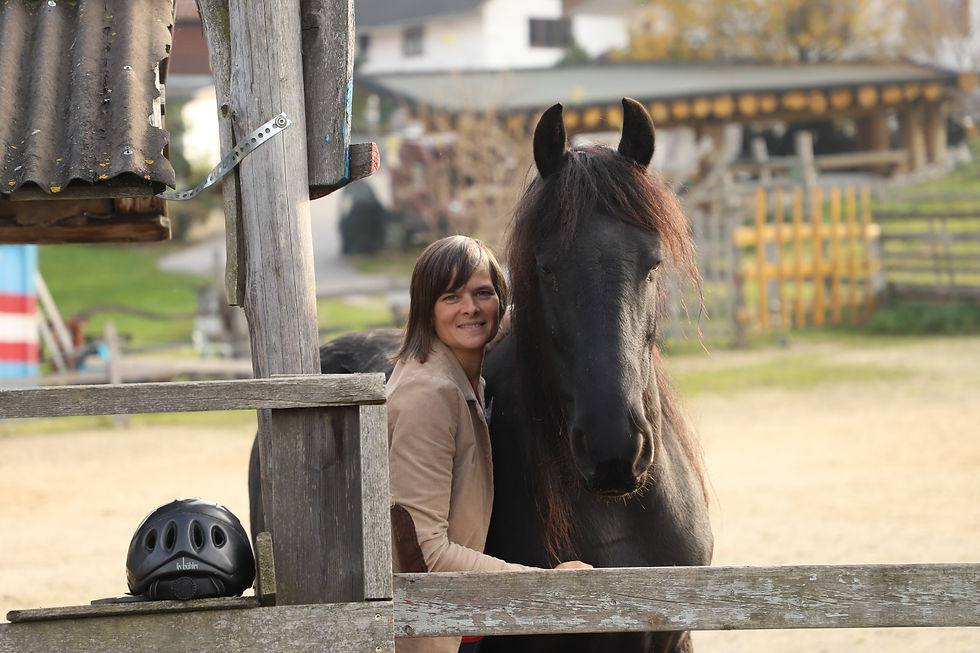 Vitales Pferd - Dank Starker Hanken