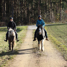 Traumhafte Ausritte: Entdecken Sie die Natur mit uns