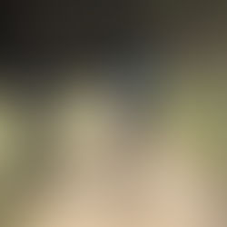 Traumhafte Ausritte: Entdecken Sie die Natur mit uns