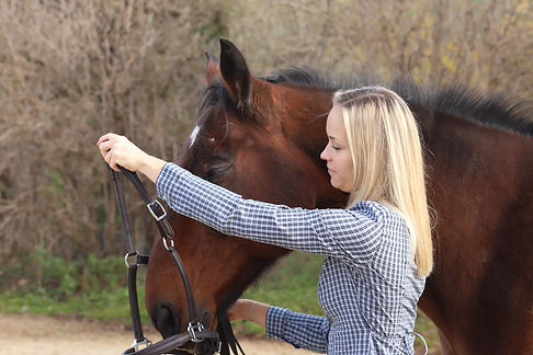 WhatsApp Image 2025-12-05 at 23.31.41.jpeg