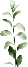 leaf1.png