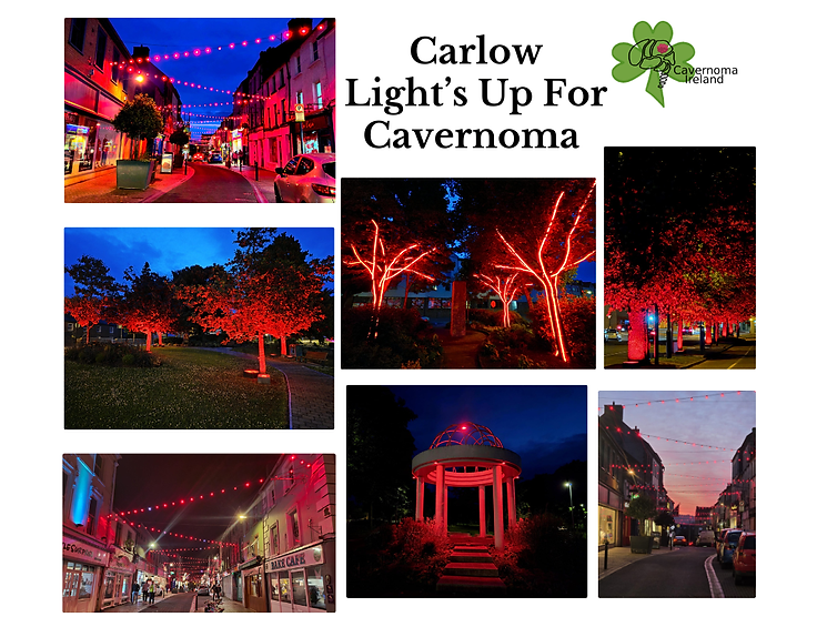 Carlow LightUp June 2026 Ins.png