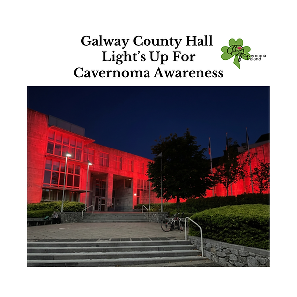 GalwayCountyHall June 2026.png