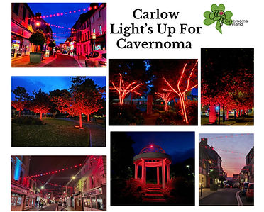 Carlow LightUp June 2026 Ins_edited.jpg
