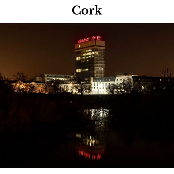 Cork LightUp Council Photos June 2026 In