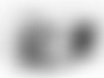 從「燕詩」到「當孝敬父母」