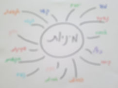 תמונה מספר 8.jpeg