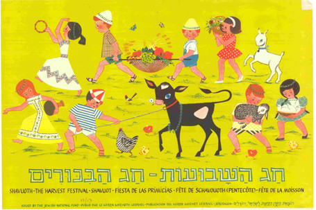 חג שבועות - חג הביכורים. כלויה של הקרן הקימת