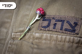 יום הזיכרון, הנצחה, דם-המכבים, חללים, נופלים