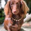 Thumbnail: The CHASE GOLD™ Dog Necklace | 18K Gold-Filled 10mm Beads