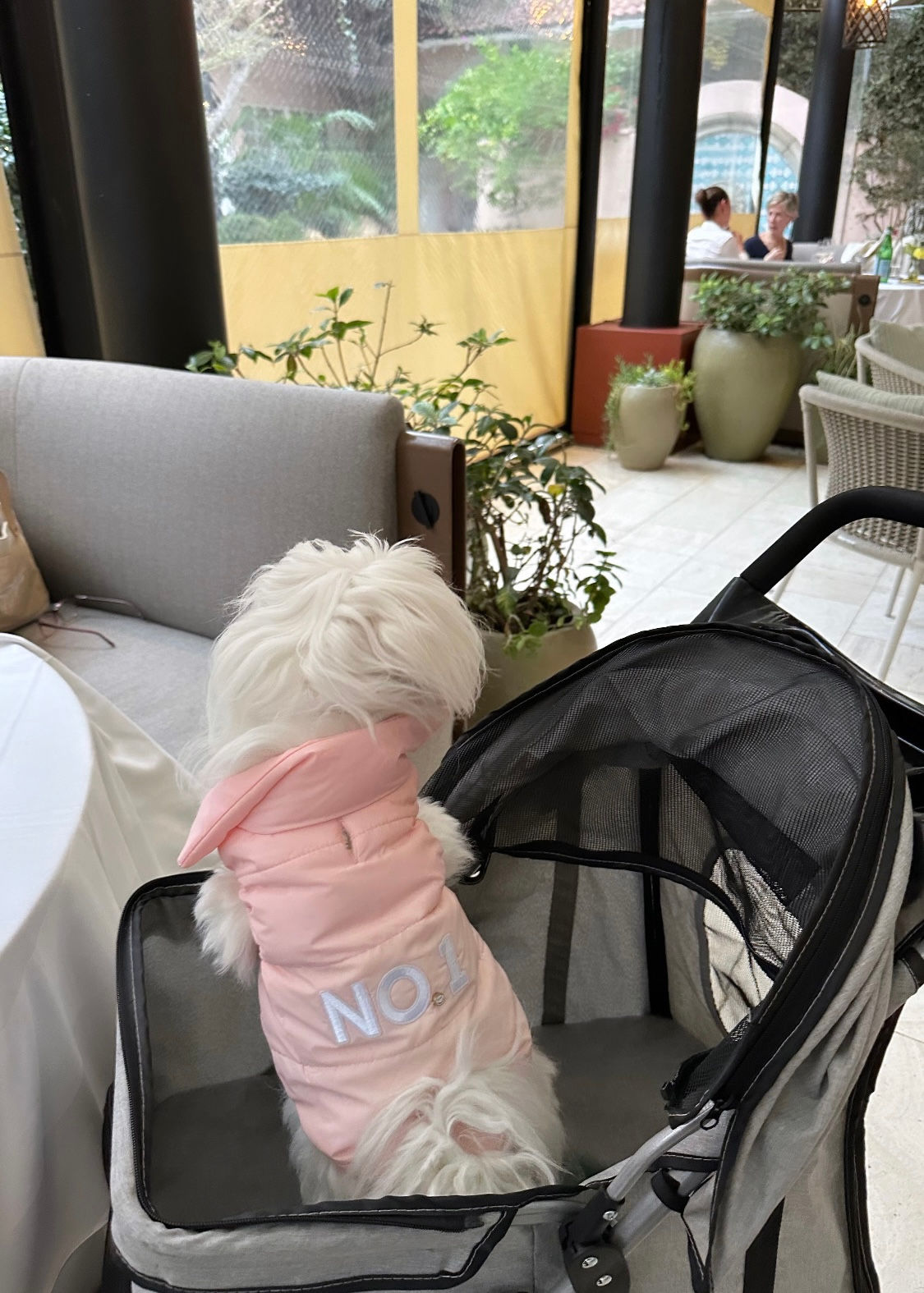 Chili Puppers "NO. 1"  Puffer | Soft Fleece Lined | Pink or Burgundy