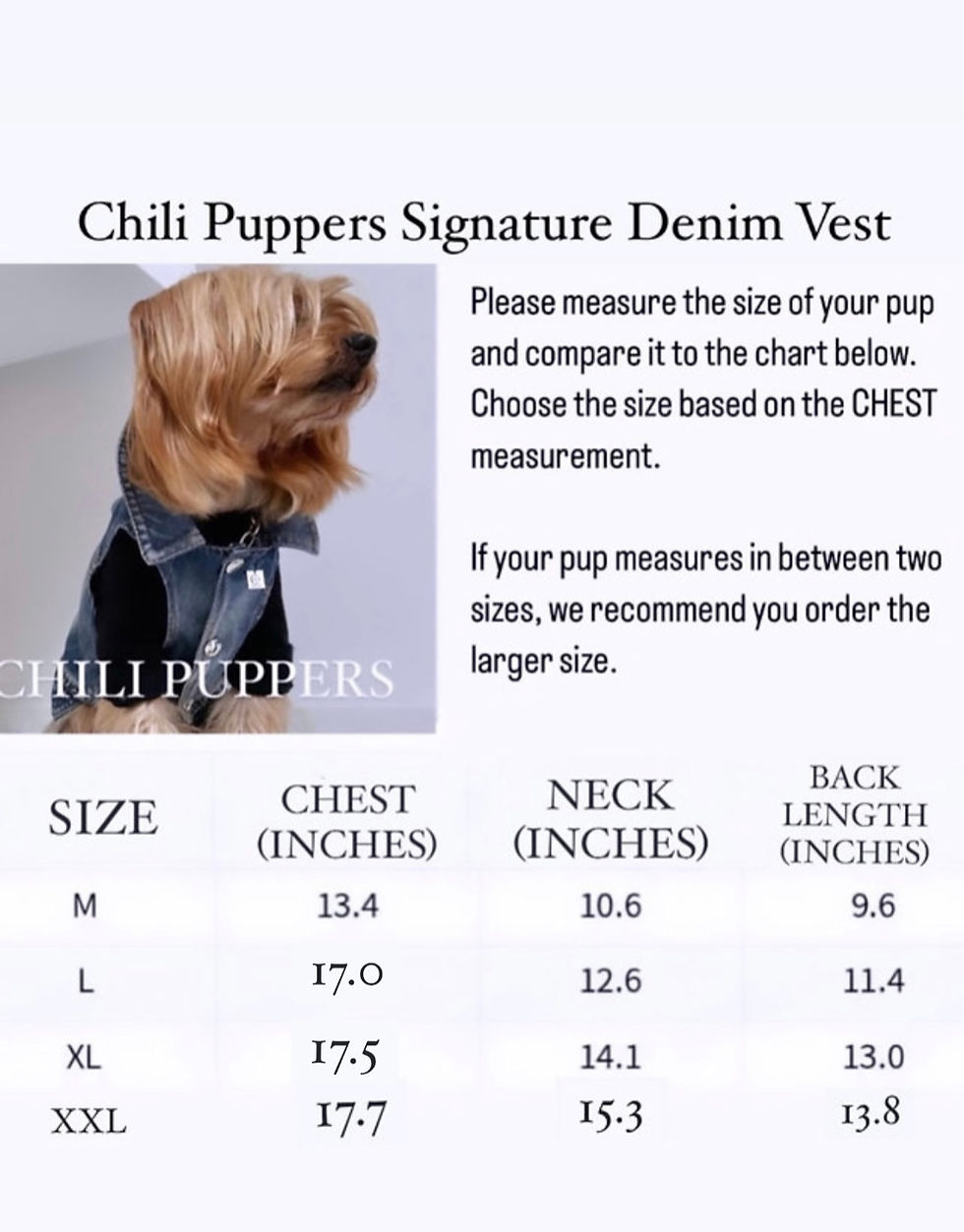 Thumbnail: "BALLOON DOG" Chili Puppers Lightweight Denim Vest | Leash Ring