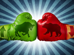 Bulls Bears boxing gloves
