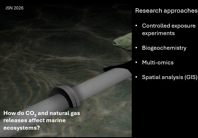 co2anim_v7_animated_optimized.webp