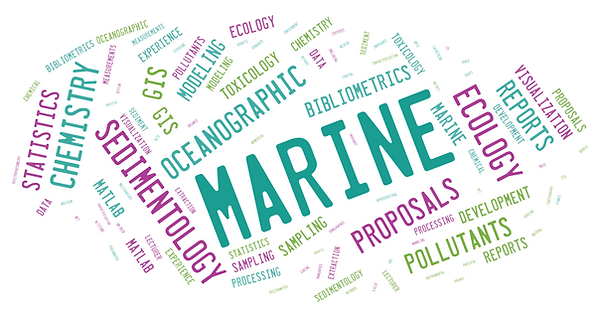 word cloud environmental.png