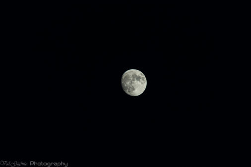 The Mysterious Power of the Full Moon