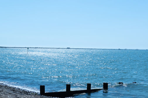 Capturing the Beauty of the Sea