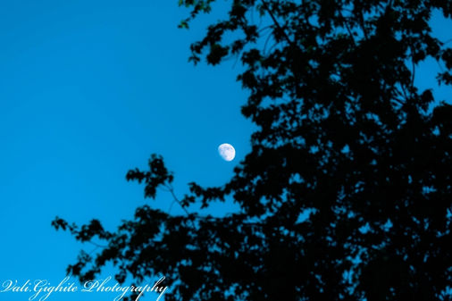 The moon