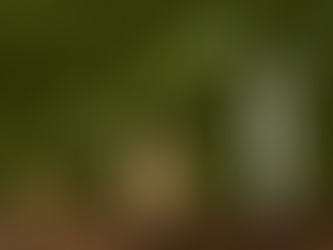 How Interest Rate Changes Are Reshaping Commercial Property Investments