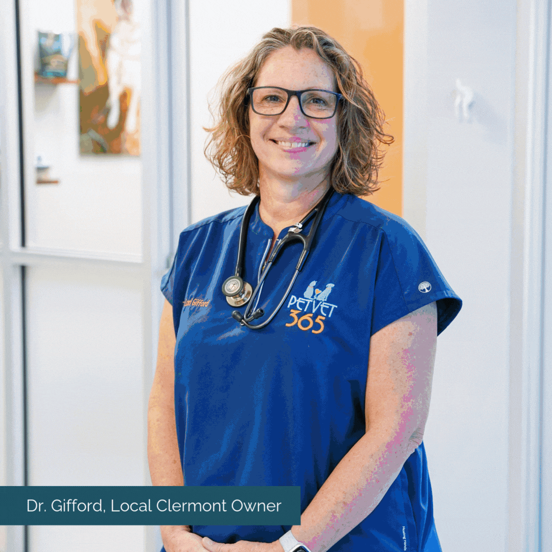 Website Doctor Gif.gif