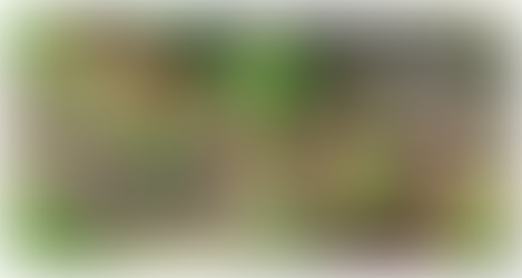 管理組合だより 2025年 第6号