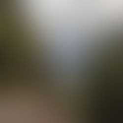 Making the Best of Life Lessons