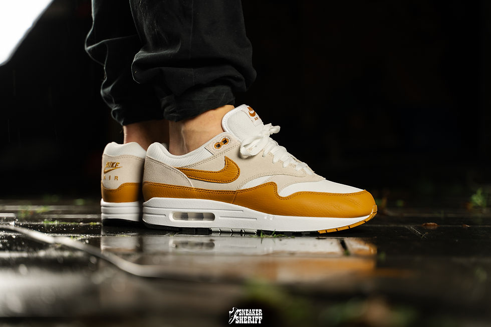 Miniaturbild: NIKE AIR MAX 1 BRONZE