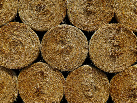 The Best Way To Feed Out Round Bales Of Hay