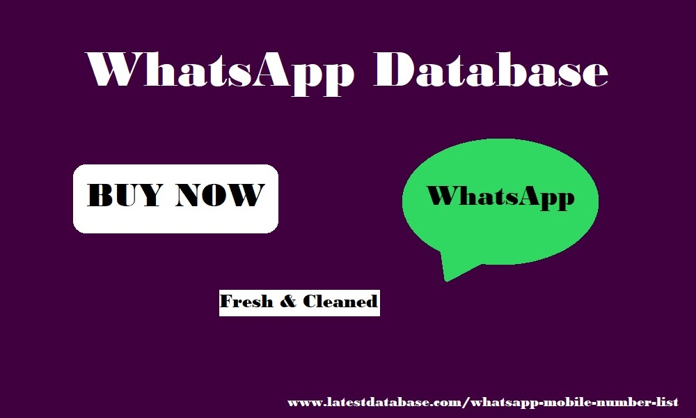 Disk Project Summary whatsapp Database content media