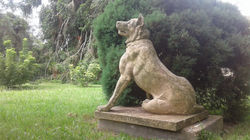 IMG-20190202-WA0055