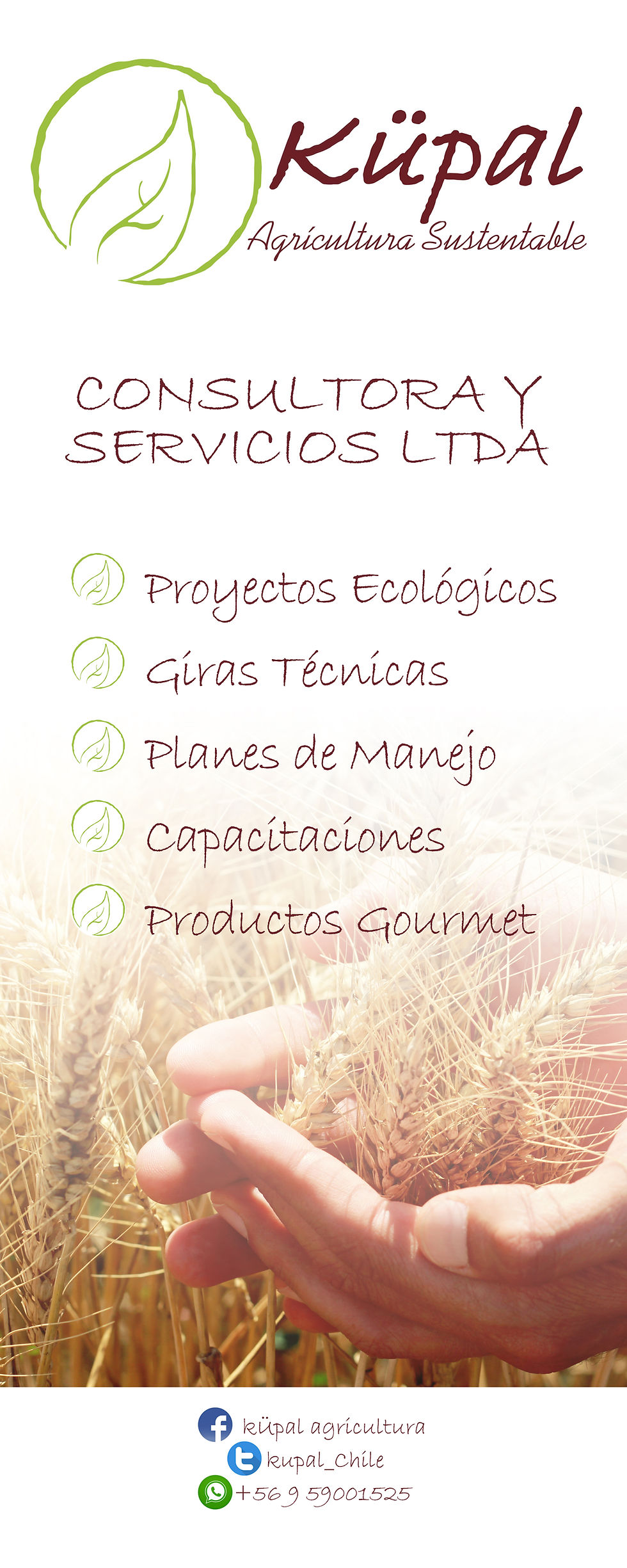 pendon kupal 2 maqueta