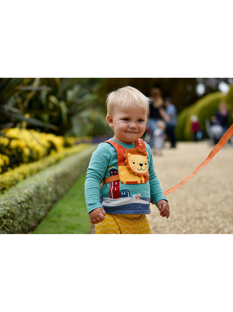 Miniatura: Szelki bezpieczeństwa LittleLife