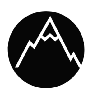 THE SUMMIT SPONSOR