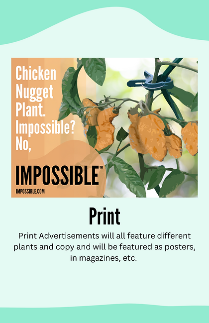 Integrated Ad print IMPOSSIBLE.png